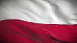 Highly detailed flag of Poland ripples in the wind. Looped