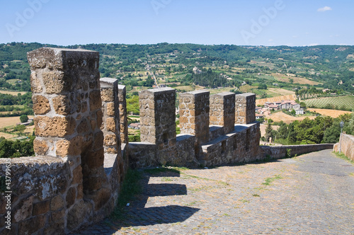 Foto: Fortified walls. Orvieto. Umbria. Italy. Fortified walls. Orvieto. Umbria. Italy.