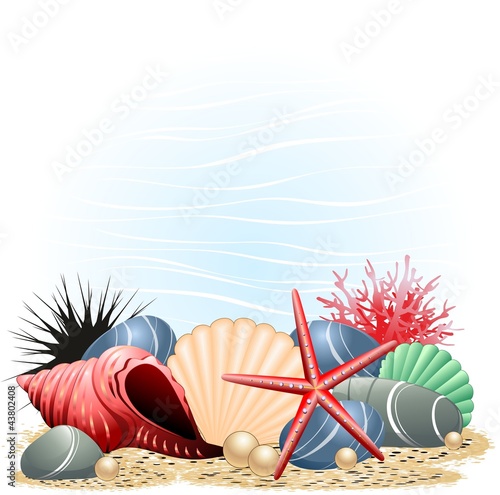 Vector: Conchiglie Stella Marina e Corallo-Seashells, Starfish and Coral Conchiglie Stella Marina e Corallo-Seashells, Starfish and Coral