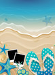 Summer background with shells