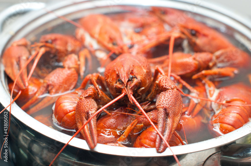 Photo: crawfish boiling in a large pot crawfish boiling in a large pot