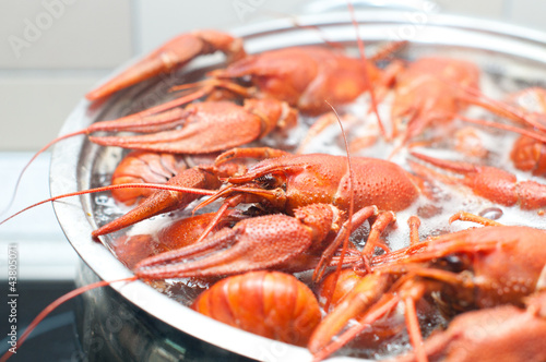 Photo: crawfish cooking in a large pot crawfish cooking in a large pot