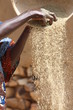A Dogon woman sorts her grain harvest