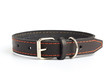 dogs collar
