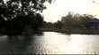 Canal in the park