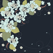 Vektor: Floral vector background with blue hydrangea Floral vector background with blue hydrangea