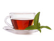 Cup of tea and mint, isolated on white background