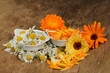 heilpflanzen kamille und ringelblume