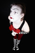 funny clown with  big red bow