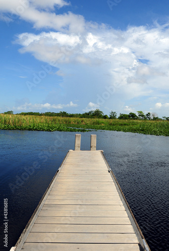 Photo: dock on swamp dock on swamp