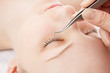 Foto: Eyelash extension Eyelash extension