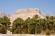 Photo: Ein Gedi Nature Reserve Ein Gedi Nature Reserve