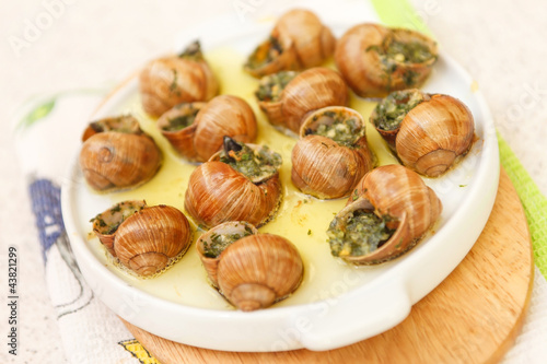 Photo: bourguignonne snail bourguignonne snail