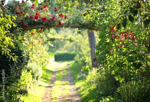 Photo: Rosenbogenweg Rosenbogenweg