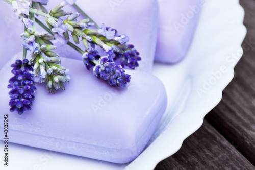 Foto: Lavendel - Wellness Lavendel - Wellness