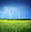 Lightning in meadow