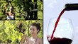 Video: vines and wine vines and wine