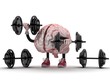 brain sports