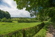Rural landscape in summer