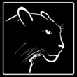 Vector: Panther on a black background Panther on a black background