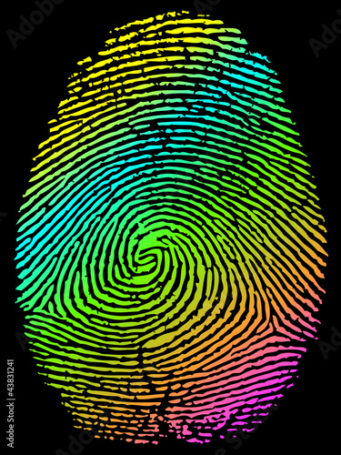 Color Fingerprint