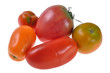 tomaten