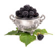 Photo: fresh blackberry in a metal bowl Isolated fresh blackberry in a metal bowl Isolated