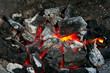 Barbecue Coals - 3