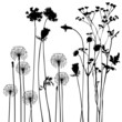 collection, for designers, plant vector