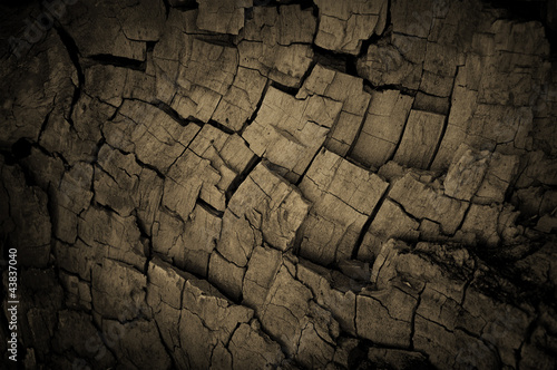Photo: Old grunge and cracked wooden background Old grunge and cracked wooden background
