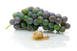 snail and a bunch of grapes on a white background