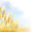 crop background