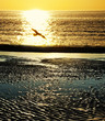 Photo: beach and sunset beach and sunset
