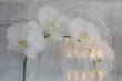 Foto: Mystisch, Orchidee mit Kerzen Mystisch, Orchidee mit Kerzen