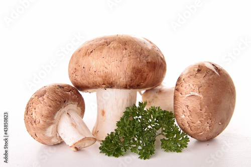 Photo: isolated mushrooms and parsley isolated mushrooms and parsley