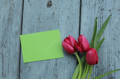 Photo: Tulpen mit Blankozettel Tulpen mit Blankozettel
