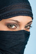 Photo: Portrait of veiled woman, focus on eyes. Portrait of veiled woman, focus on eyes.