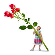 Kind mit Rosen - Blumen pflücken