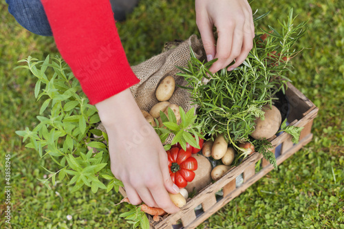 Photo: High angle view of a woman's hand putting vegetables in a crate High angle view of a woman's hand putting vegetables in a crate