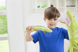 Portrait of a boy playing with animals toys