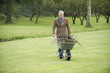 Man collecting firewood in a park