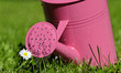 watering can