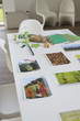 Ecology sustainable development related photographs on a table