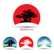 logo bonsai