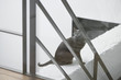 Cat sitting on the ledge of a wall