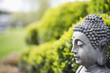 Statue of Buddha in a garden