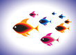Illustration of school of colorful fishes swimming together in b