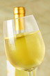 Foto: Glass and bottle of fine italian white wine, closeup Glass and bottle of fine italian white wine, closeup