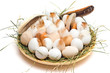 Eggs Nest