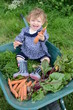 Foto: plaisir de jardiner plaisir de jardiner